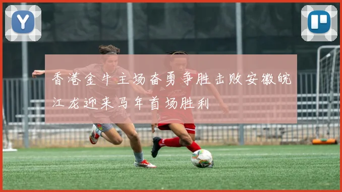 香港金牛主场奋勇争胜击败安徽皖江龙迎来马年首场胜利