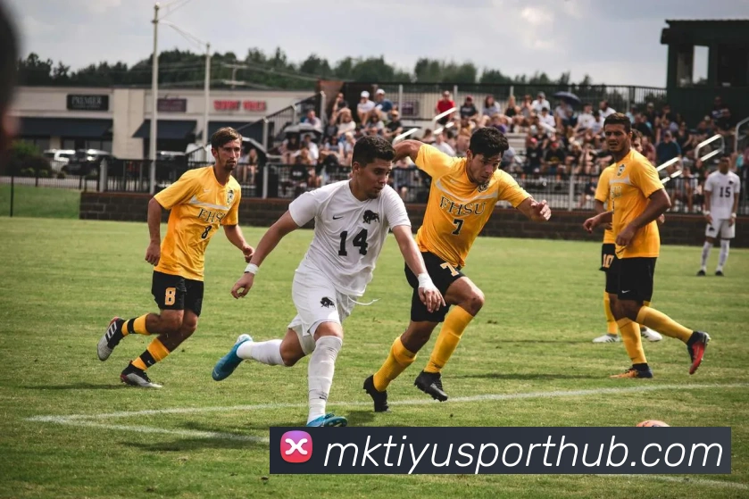 MK体育APP 封面图