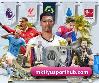 MK体育 APP - MKSPORTS